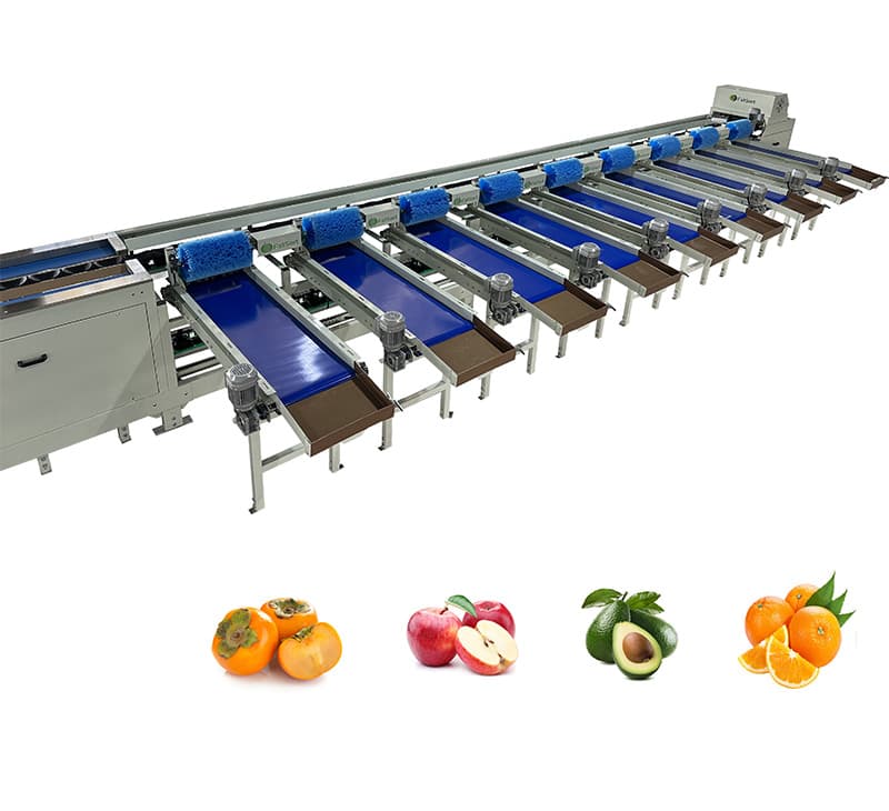 images/1698652499618orange sorting grading machine.jpg